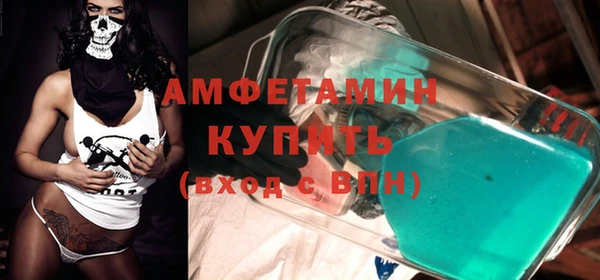 ПСИЛОЦИБИНОВЫЕ ГРИБЫ Верея