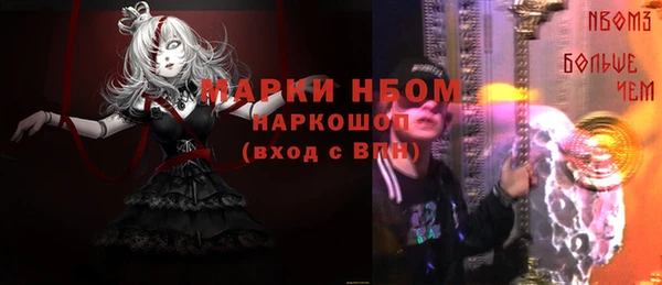 ПСИЛОЦИБИНОВЫЕ ГРИБЫ Верея
