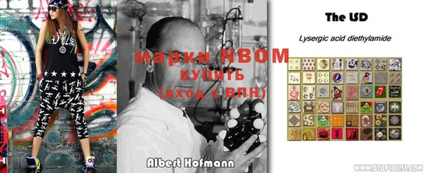 ПСИЛОЦИБИНОВЫЕ ГРИБЫ Верея