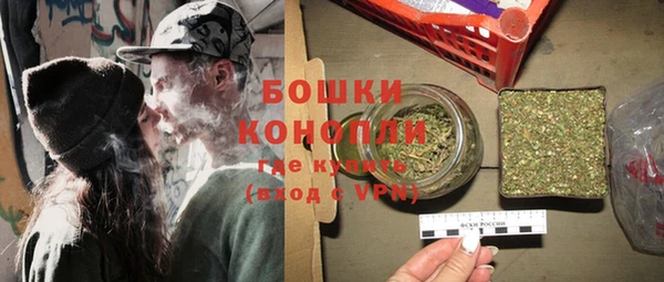ПСИЛОЦИБИНОВЫЕ ГРИБЫ Верея