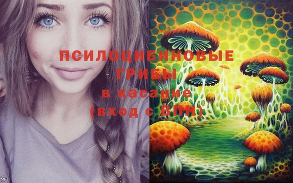 ПСИЛОЦИБИНОВЫЕ ГРИБЫ Верея