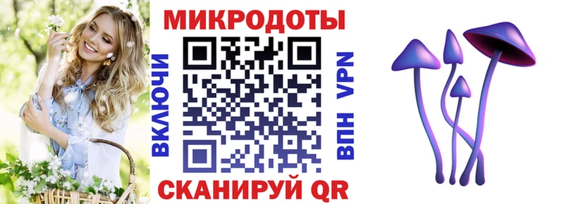 МЕГА ссылка  Владивосток  Псилоцибиновые грибы прущие грибы 